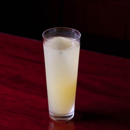 ジン＆フレッシュ・トニック