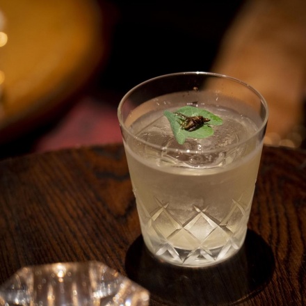 アマゾン・ネグローニ