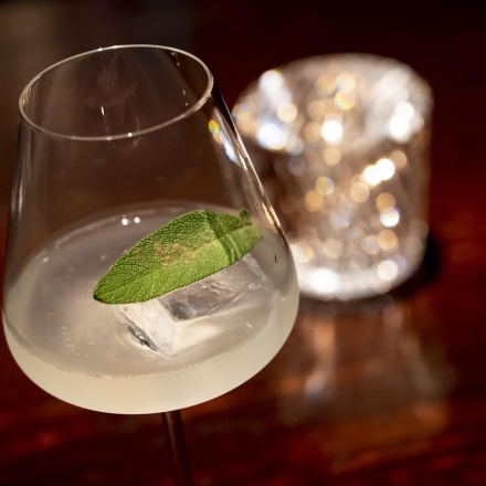 ジャングル・グレース