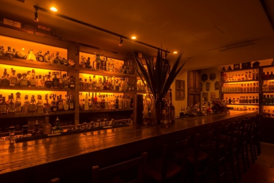 AGAVE <font color=#FF0000>＜終了＞</font>